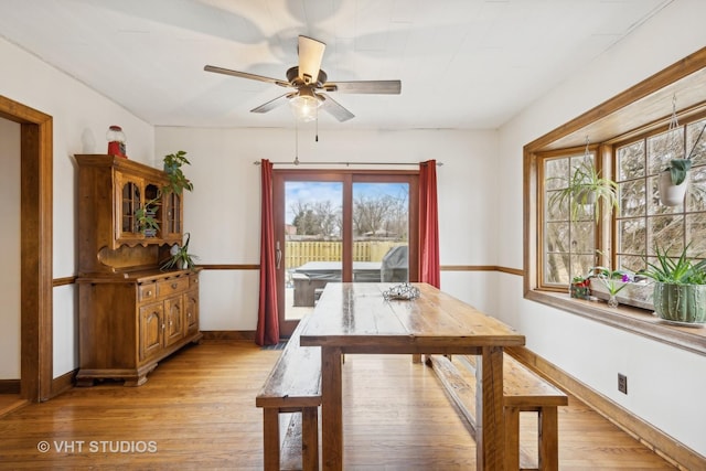 dining area with ceiling fan, plenty of natural light, and light wood-type flooring