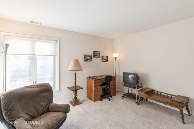 sitting room featuring light carpet