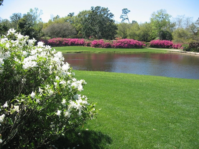 view of water feature