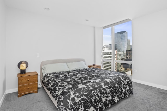 bedroom featuring floor to ceiling windows and carpet floors