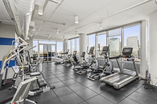 exercise room featuring plenty of natural light