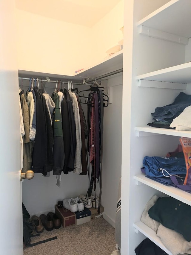 spacious closet with carpet flooring