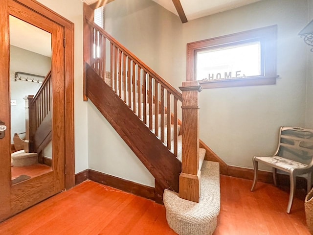 stairs with wood-type flooring