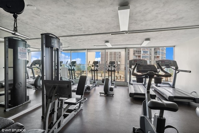 exercise room featuring floor to ceiling windows