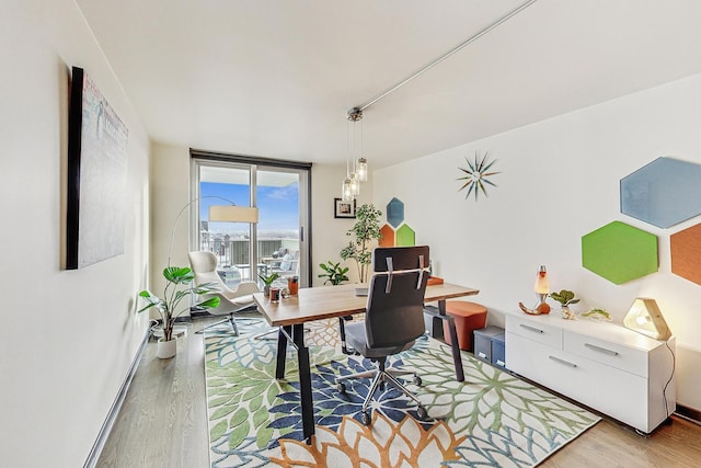 office area featuring light hardwood / wood-style floors and expansive windows