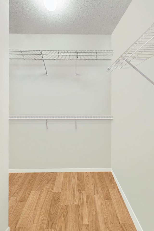 walk in closet featuring hardwood / wood-style floors