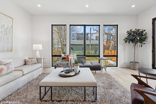 living room with light hardwood / wood-style floors