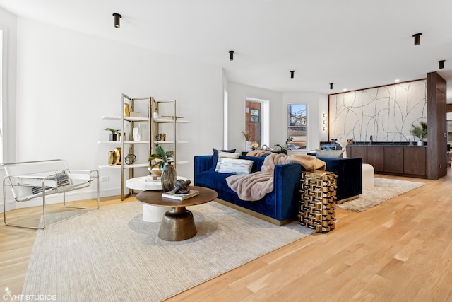 living room featuring wood-type flooring