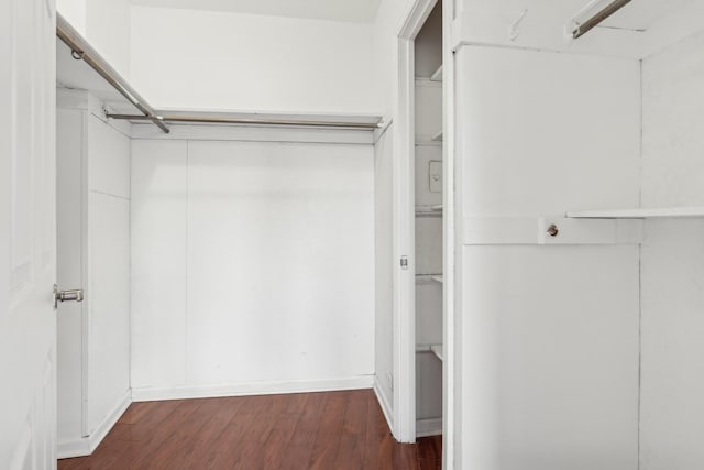 spacious closet featuring dark hardwood / wood-style floors