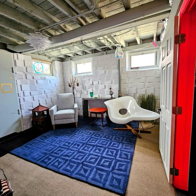 living area featuring dark colored carpet