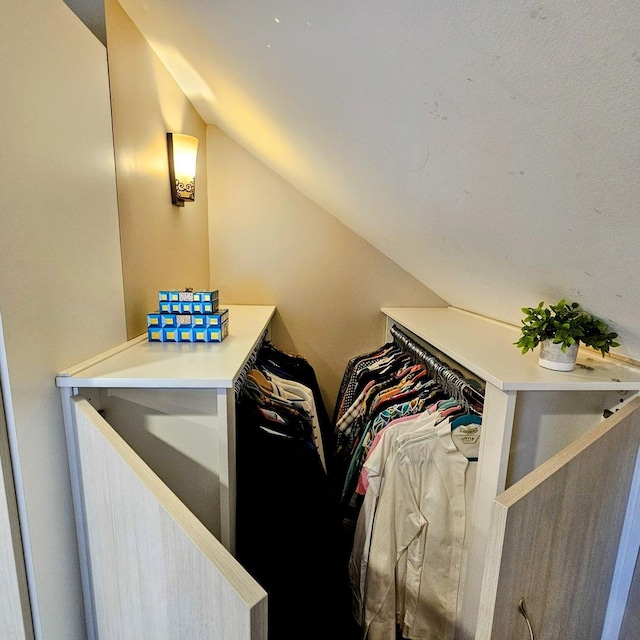 spacious closet with vaulted ceiling