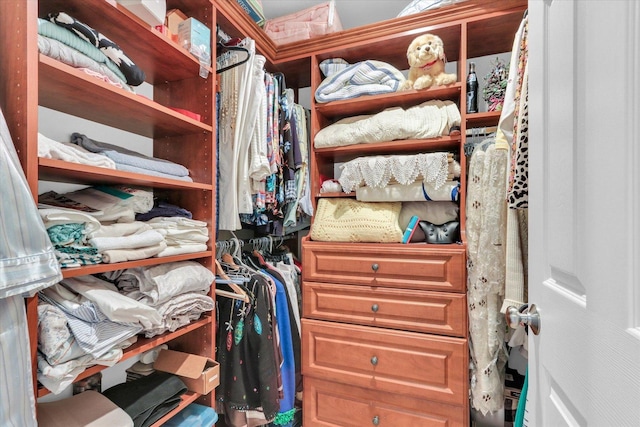 view of spacious closet