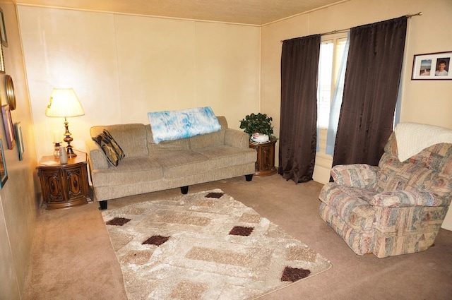 living room with light carpet