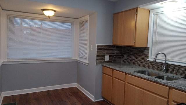 kitchen featuring tasteful backsplash, sink, dark stone countertops, and dark hardwood / wood-style flooring