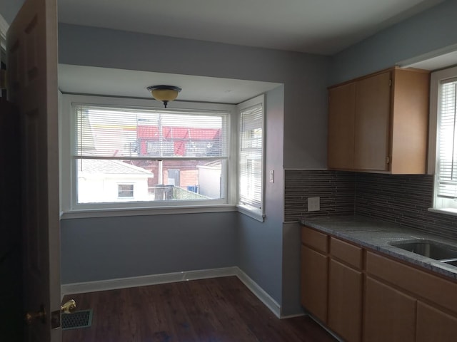 kitchen with sink, dark wood-type flooring, and decorative backsplash