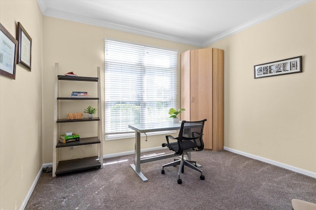 carpeted office space featuring ornamental molding