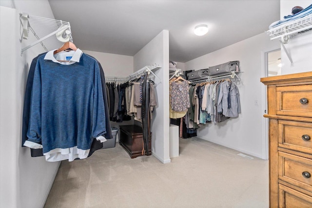 spacious closet with light carpet