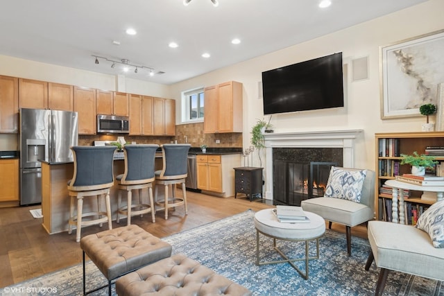 living room featuring a premium fireplace and light hardwood / wood-style floors