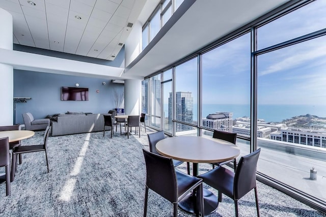 dining space featuring plenty of natural light and expansive windows