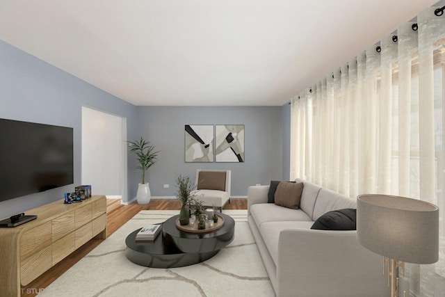 living room with hardwood / wood-style flooring