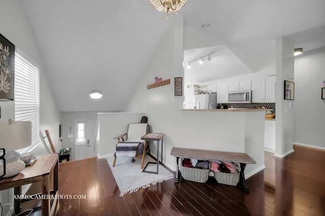 sitting room with rail lighting, dark wood-type flooring, and a wealth of natural light