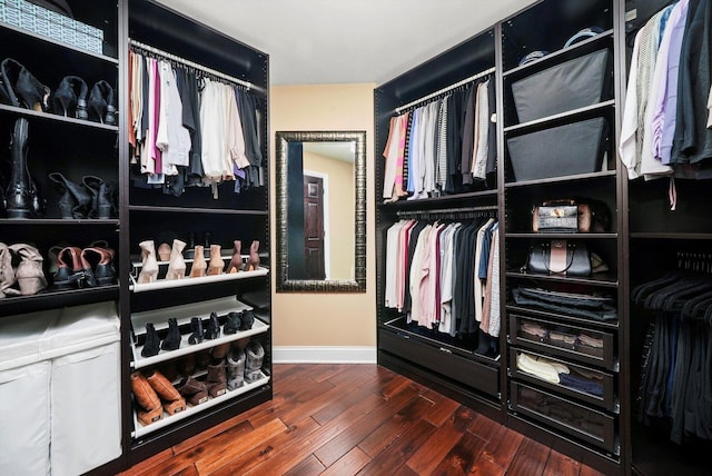 spacious closet featuring hardwood / wood-style flooring