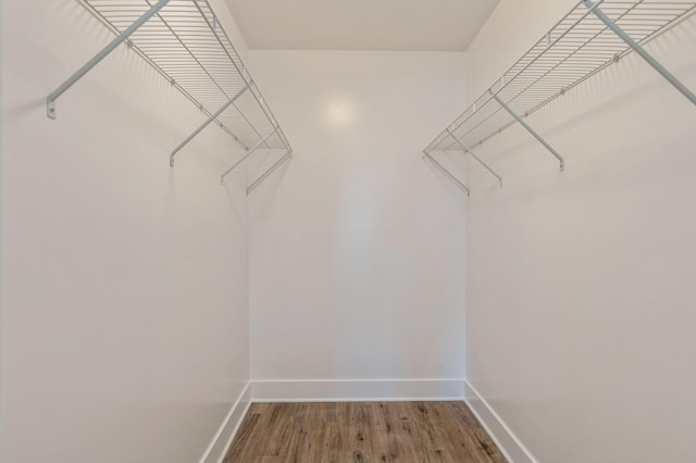 spacious closet featuring wood-type flooring