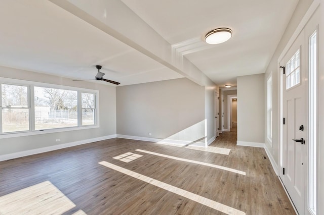 foyer entrance with hardwood / wood-style floors and a healthy amount of sunlight