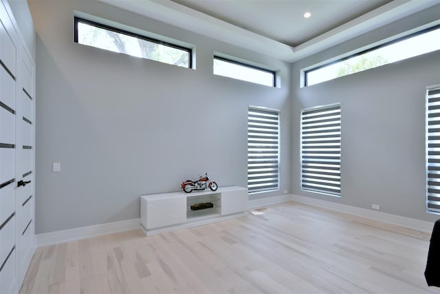 interior space with plenty of natural light and light hardwood / wood-style flooring