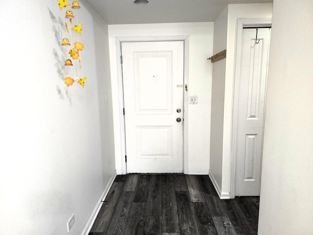 doorway featuring dark hardwood / wood-style floors