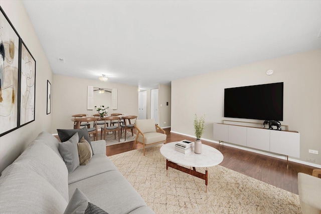 living room featuring wood-type flooring