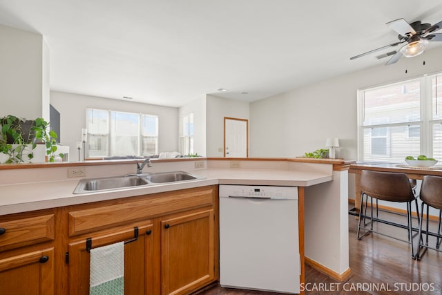 kitchen with dark wood-type flooring, a healthy amount of sunlight, white dishwasher, and sink