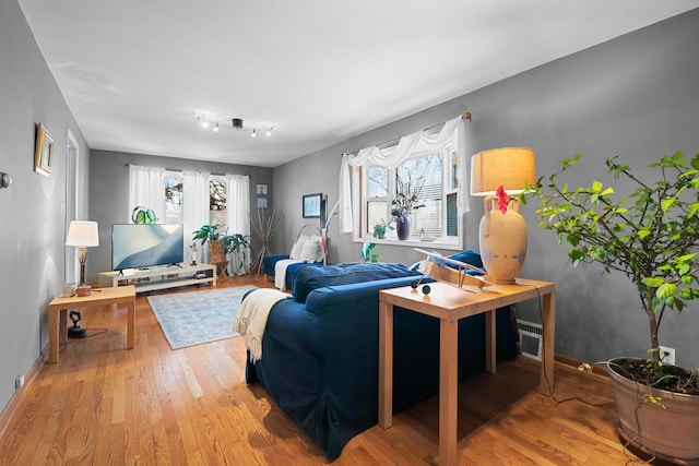 living room with plenty of natural light and light wood-type flooring