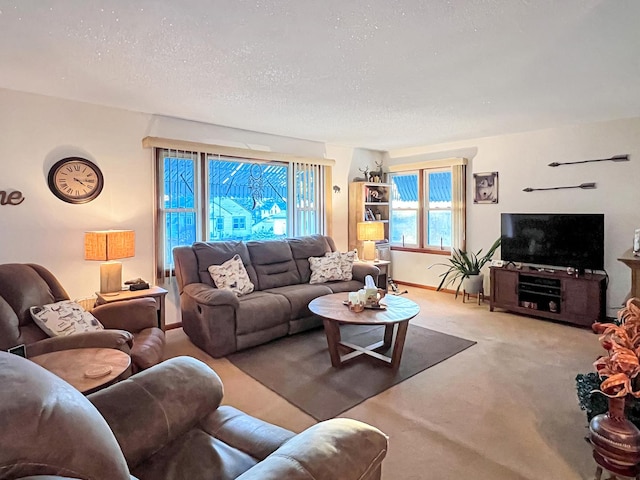 living room featuring a textured ceiling