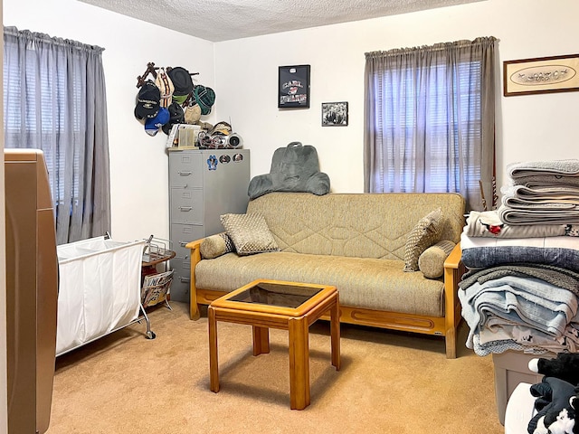 carpeted living room featuring a textured ceiling