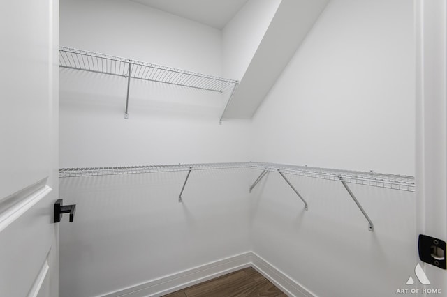 walk in closet with hardwood / wood-style floors