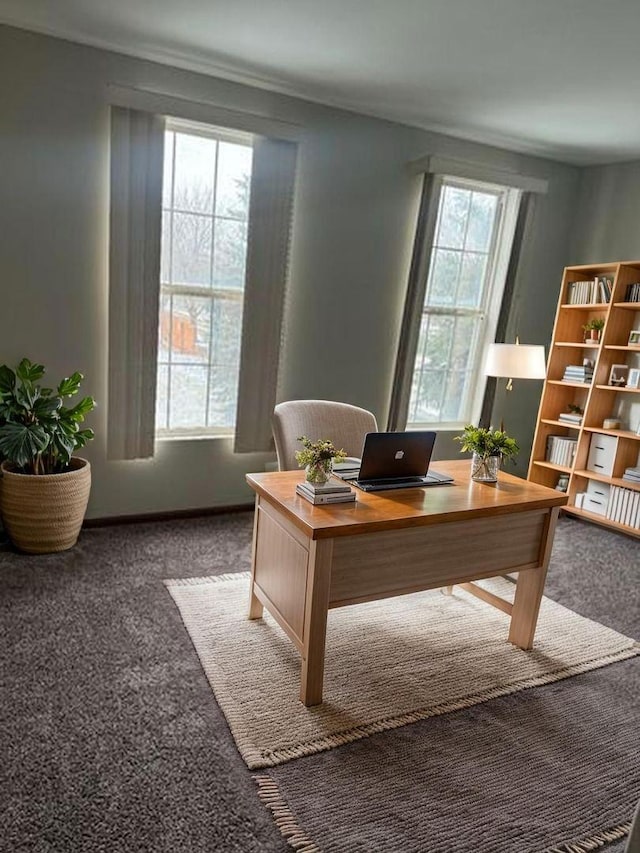 1009 Symphony Dr, Aurora, IL 60504 - office space featuring carpet flooring