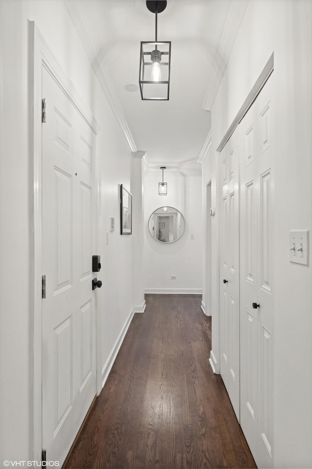 hall featuring crown molding and dark hardwood / wood-style flooring