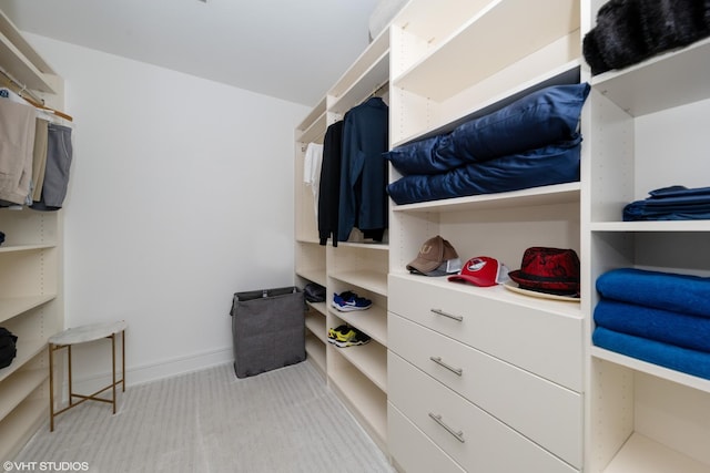 view of spacious closet