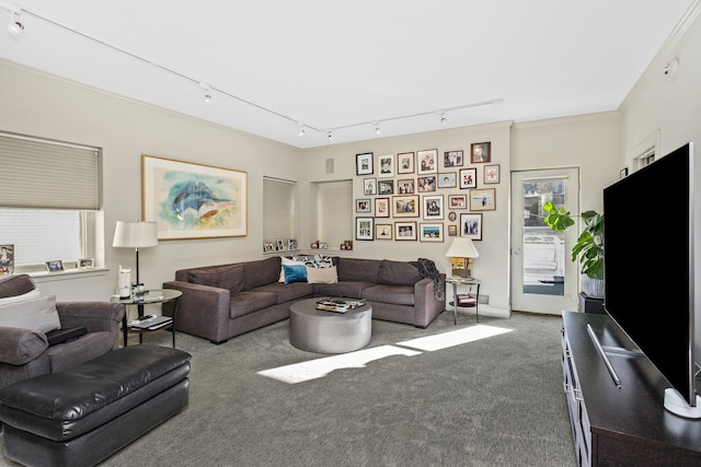 carpeted living room with plenty of natural light, ornamental molding, and rail lighting