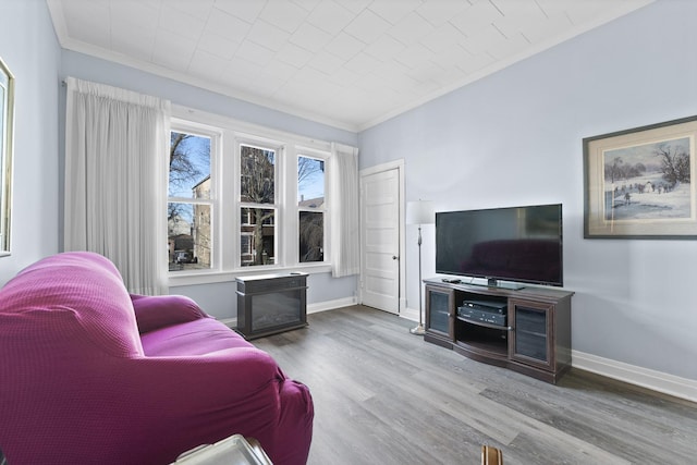 living room featuring hardwood / wood-style floors and ornamental molding