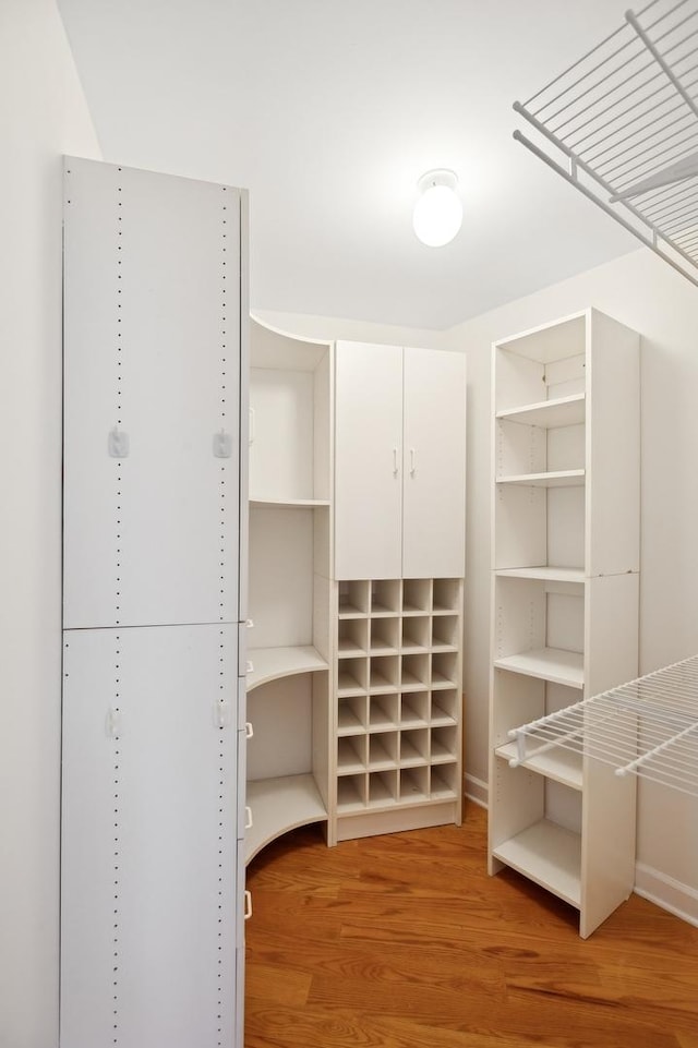 walk in closet featuring wood-type flooring