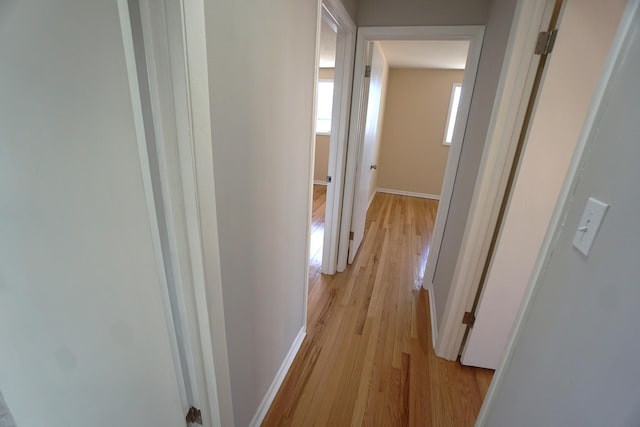 hall featuring light hardwood / wood-style flooring