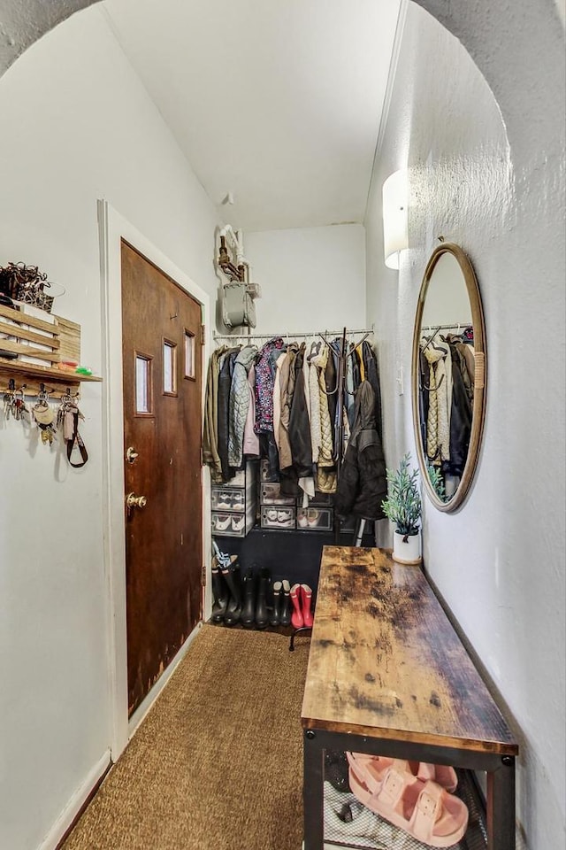 spacious closet with carpet