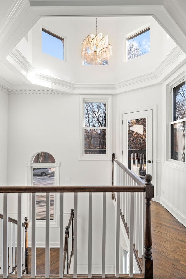 stairs with hardwood / wood-style flooring, crown molding, plenty of natural light, and a notable chandelier