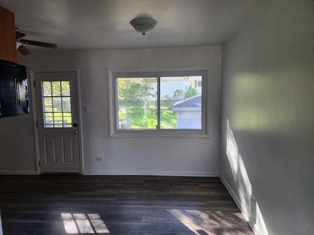 interior space featuring dark hardwood / wood-style flooring