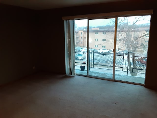 view of carpeted spare room