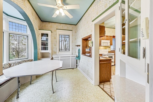 office with crown molding and ceiling fan