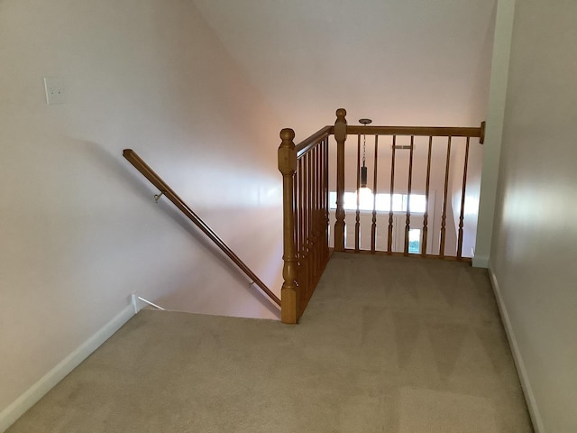 staircase featuring carpet floors