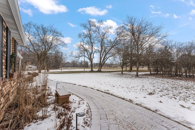 view of snowy yard